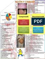 Carta Didactica Nutricion y Cirrosis