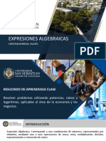 Expresiones Algebraicas: Cristian Herrera Valdés