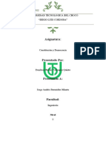 Ensayo - Constitución y Democracia