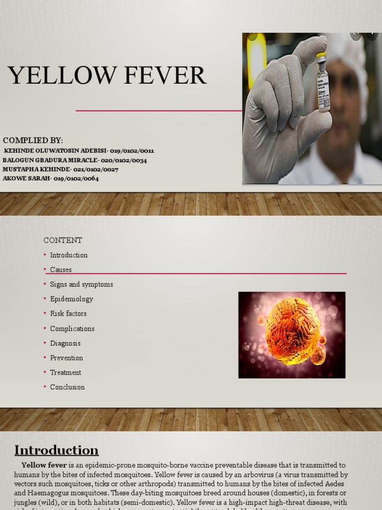 Yellow Fever Overview and Vaccine Info | PDF | Yellow Fever | Mosquito