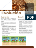 Evolución: Lamarck Darwin