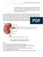 Fisiología (FCE UNLP) - Fisiología Renal