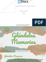 Accede A Apuntes, Guías, Libros y Más de Tu Carrera: Glandulas-Mamarias 36 Pag