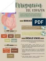 Irrigación Del Corazón