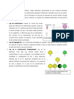 Leyes de Mendel