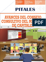 Apitales: Avances Del Consejo Consultivo Del Mercado de Capitales