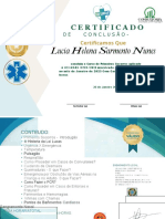 Certificado: Lucia Helena Sarmento Nunes