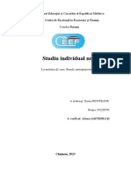 Studiu Individual Antreprenoriat Nr. 2