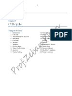 Cell Cycle PDF