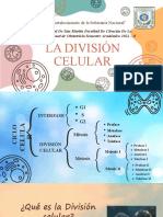 División celular en el ciclo celular