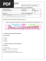 Evaluación Ciencias: Ciclo Menstrual