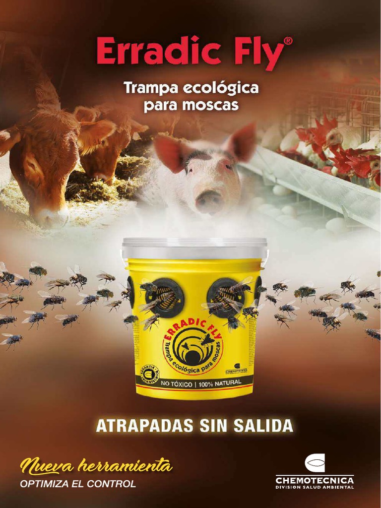 Literatura Erradic Fly | PDF