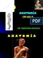 Anatomía: Dr. Christian Aguilar