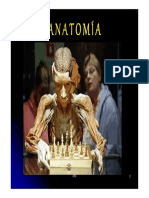 Anatomía Anatomía Anatomía Anatomía