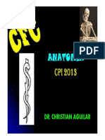 Anatomía Anatomía Anatomía Anatomía: CPI 2013 CPI 2013 CPI 2013 CPI 2013