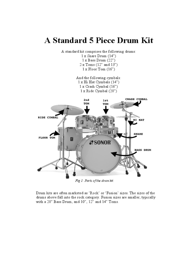 Drum Anatomy PDF