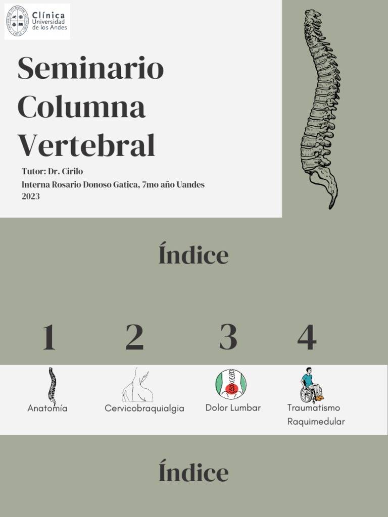 Traumatismos y Dolor en Columna Vertebral | PDF | La columna vertebral ...