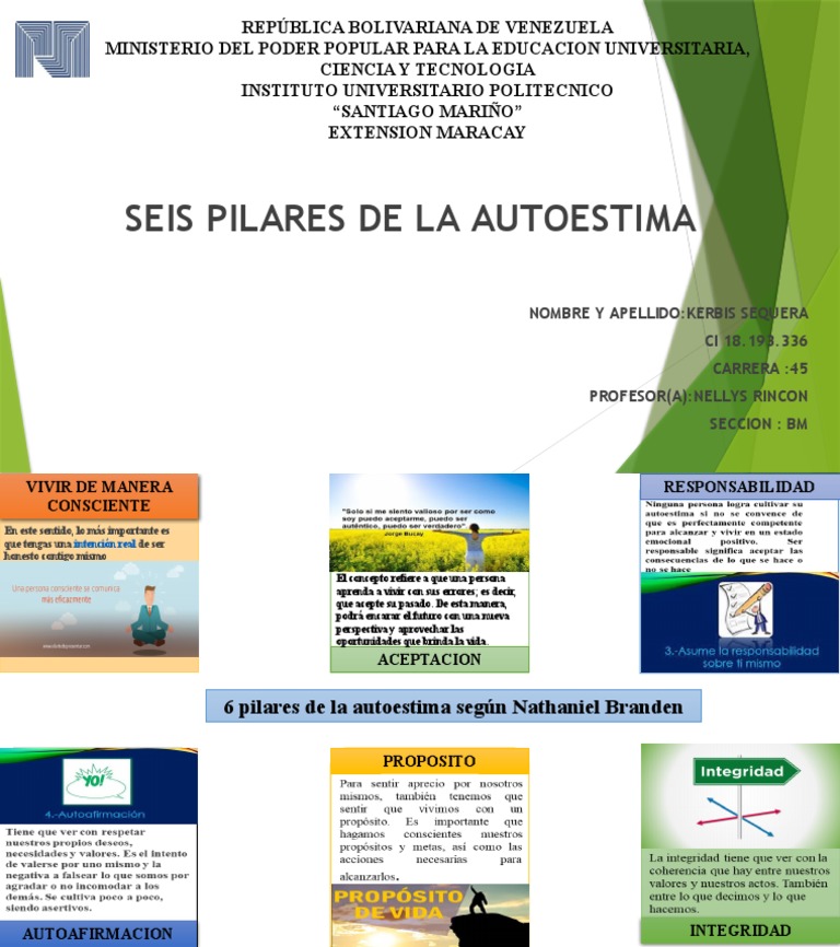 Seis Pilares de La Autoestima | PDF