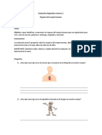 Evaluación Diagnóstica para Trabajo