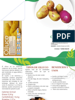 White and Green Modern Healthy Food Trifold Brochure