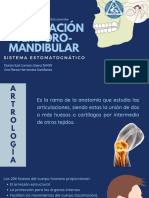 Articulación Temporo-Mandibular: Sistema Estomatognático