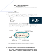 Taller 2 - Lab Molecular