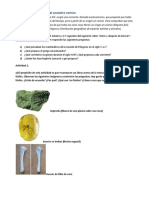 Evidencias de La Teoría Del Ancestro Común Primera Parte