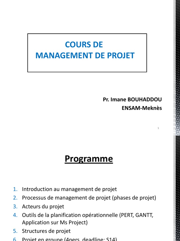 COURS Management de Projet | PDF | Gestion de projet | Business
