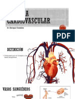 04 Sistema Cardiovascular