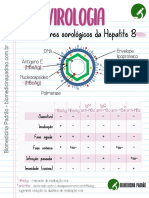 Hepatite B: marcadores sorológicos e fases da infecção