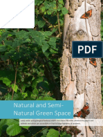 Open Space Needs Assessment - Natural and Semi-Natural Green Space
