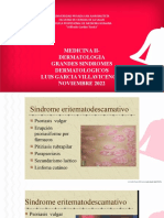 Medicina Ii-Dermatologia Grandes Sindromes Dermatologicos Luis Garcia Villavicencio Noviembre 2022