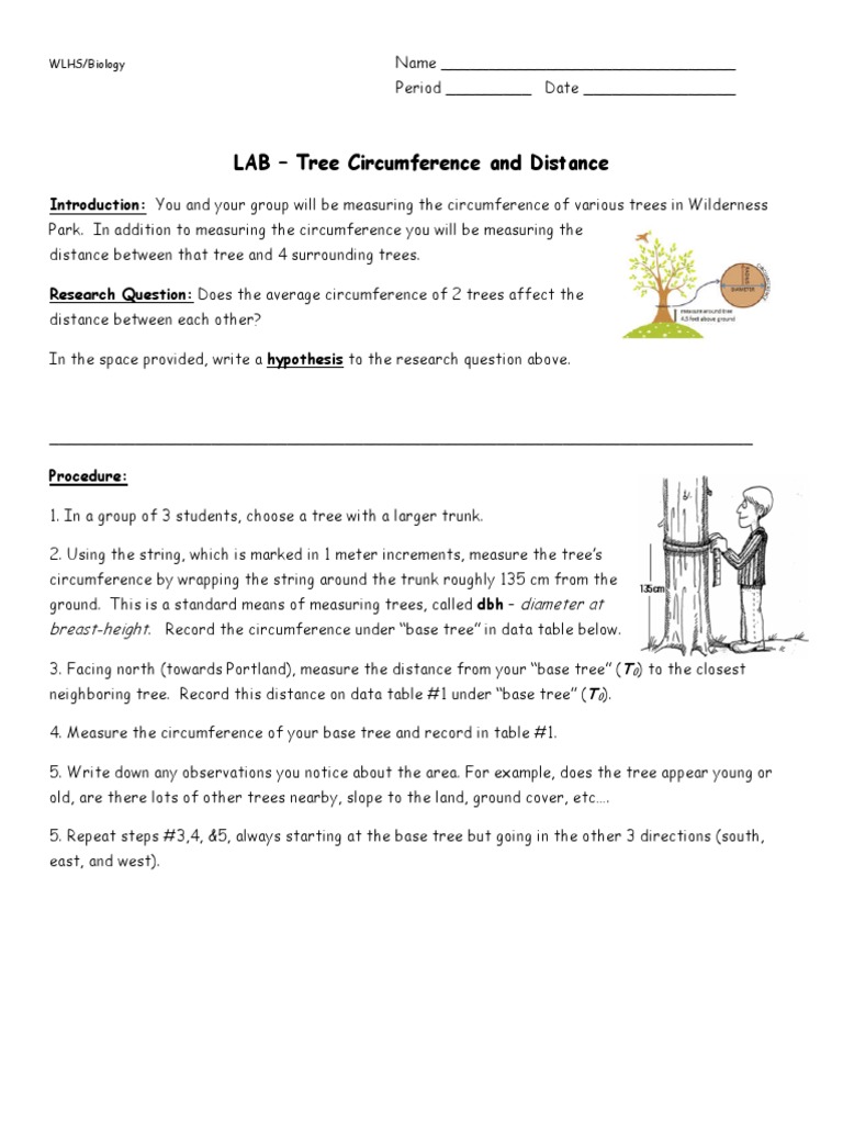 Tree Circumference and Distance Lab | PDF | Applied Mathematics | Science