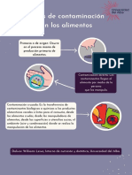 Tipos de Contaminación en Los Alimentos