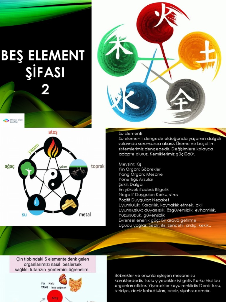 5 Element Şifası-2 | PDF