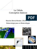 1 - Conceptos Básicos - La Célula