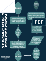 Mapa Mental de La Sensacion y Percepcion