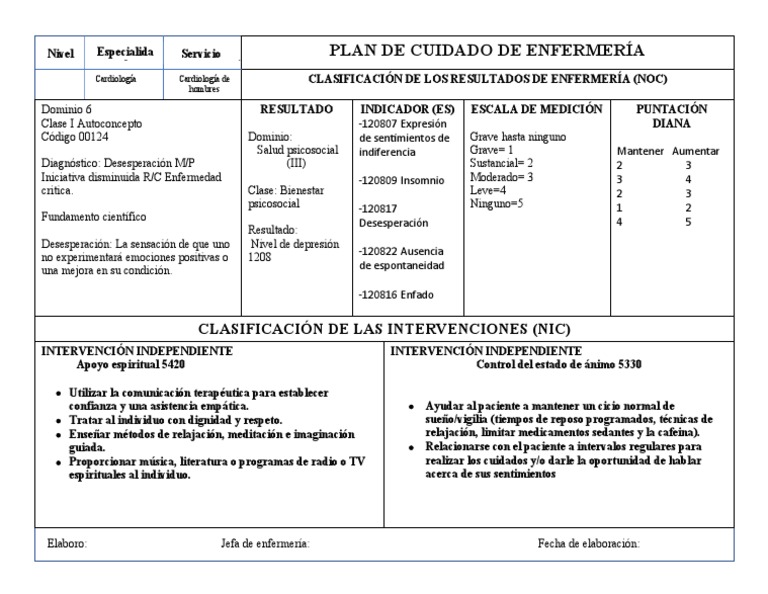 Plan de Cuidados MI | PDF | Enfermería | Especialidades Medicas