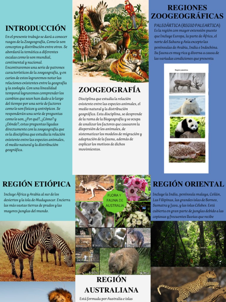 Regiones Zoogeográficas del Mundo | PDF | Biogeografia | América del Sur