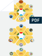 Evolución del descubrimiento del ADN desde Miescher hasta la clonación de Dolly