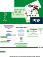 Bioelementos Biomoleculas 22