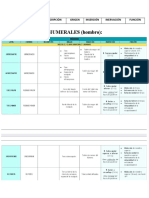 Musculos Clase 1