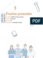 Act 3 PRUEBAS PRENATALES