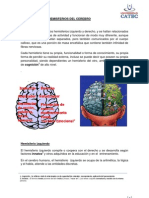 Hemisferios Del Cerebro