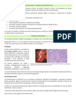 Proliferaciones y Tumores Neuroendocrinos