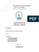 Informe Biologia - Enzimas y Proteinas.