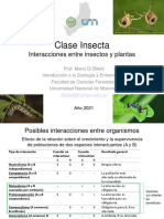 Clase Insecta: Interacciones Entre Insectos y Plantas