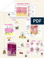 ! Anatomy - Physiology 2