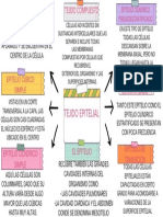 Lluvia de Ideas Brainstorm Mapa Conceptual Doodle Moderno Multicolor