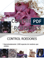 Control de Roedores